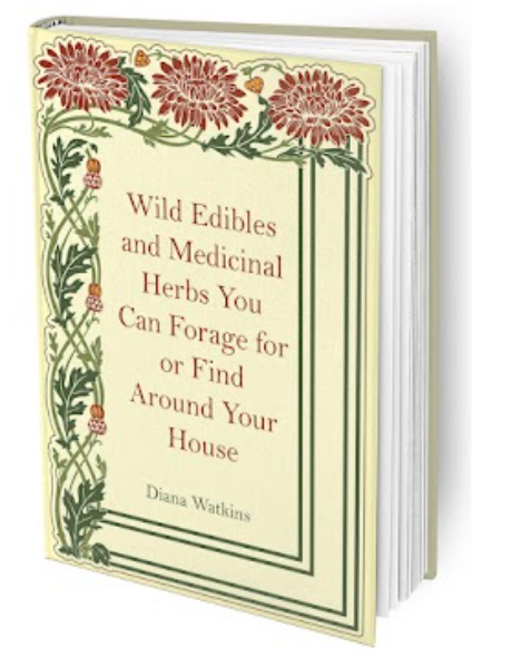 The Home Doctor Practical Medicine - Wild herbs