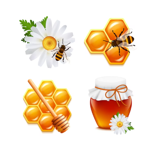 https://nature-tips.com/product/honey-in-all-its-forms-the-fascinating-world-of-bees/